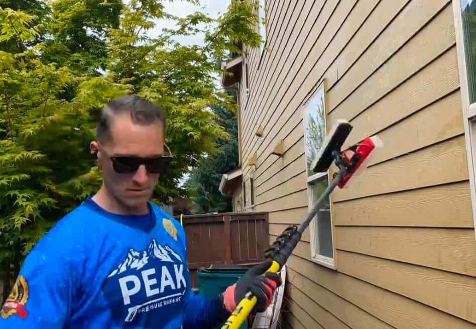 cleaning moss off siding in portland