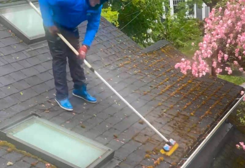 Understanding Gutter Cleaning Costs